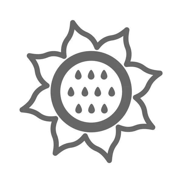 Icono del contorno de girasol. Vector vegetal — Vector de stock