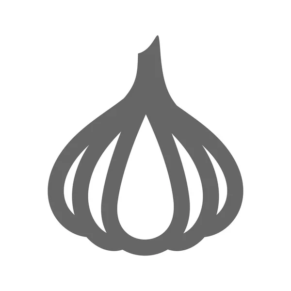 Icono de contorno de ajo. Vector vegetal — Archivo Imágenes Vectoriales