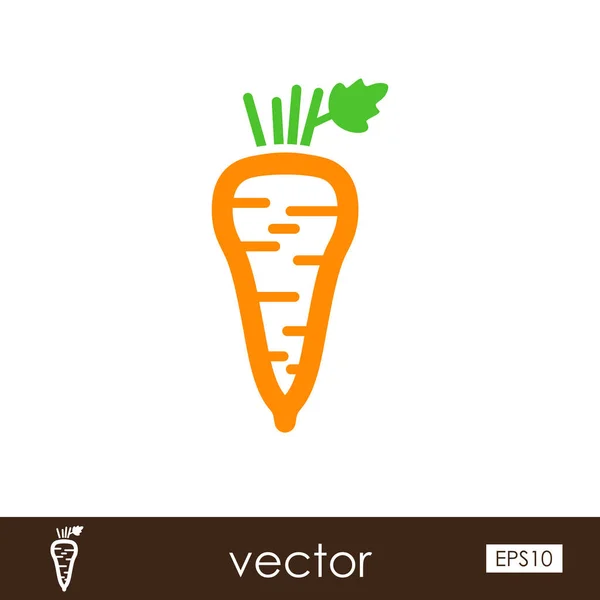 Icono del contorno de raíz de chirivía. Vector vegetal — Archivo Imágenes Vectoriales