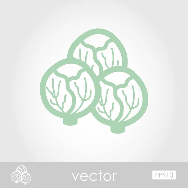 Brotes de Bruselas esbozan icono. Vector vegetal — Archivo Imágenes Vectoriales