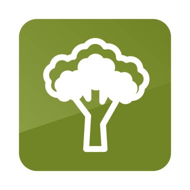 Brokoli anahat simgesi. Sebze vektör