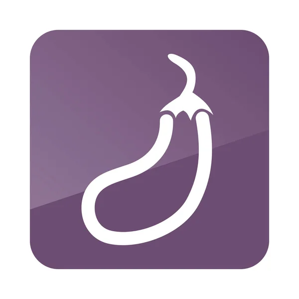 Eggplant outline icon. Vegetable vector — Stock Vector