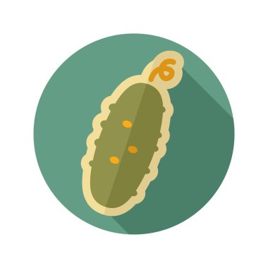 Salatalık düz simgesi. Sebze vektör