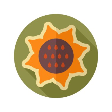 Ayçiçeği düz simgesi. Sebze vektör