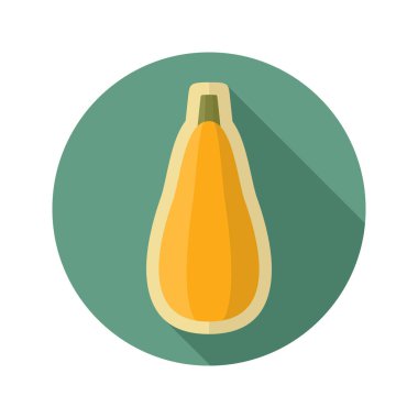Kabak düz simgesi. Sebze vektör