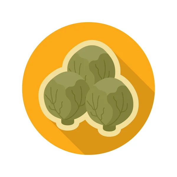 Brussels sprouts flat icon. Vegetable vector — Stock Vector