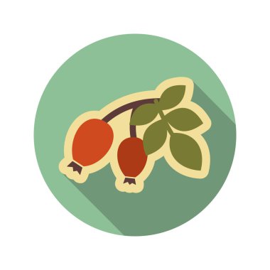 Kırmızı meyveler kuşburnu şube düz simgesi