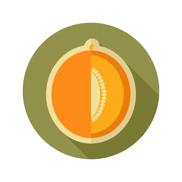 Melon flat ikonen. Frukt — Stock vektor