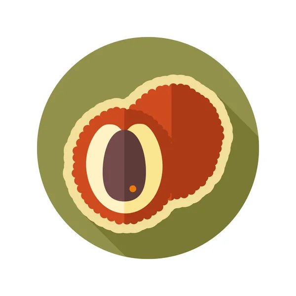 Lichee platte pictogram. Tropische vruchten — Stockvector