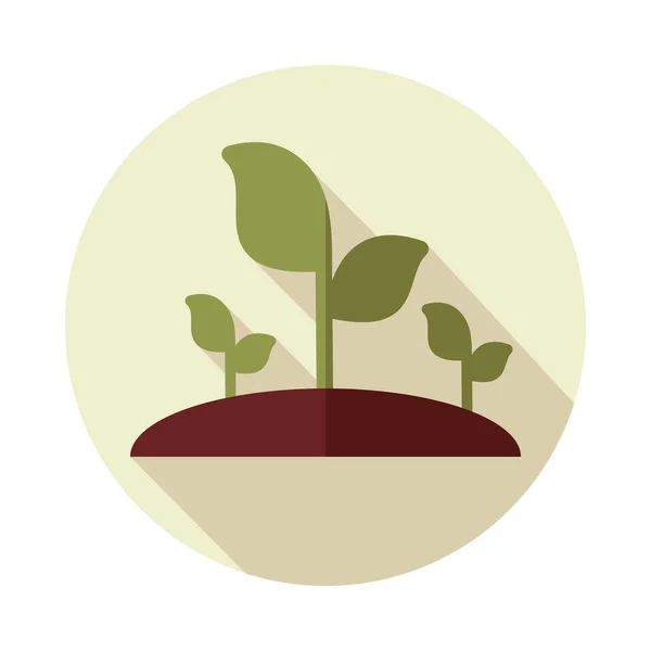 植物发芽平面矢量图标 — 图库矢量图片