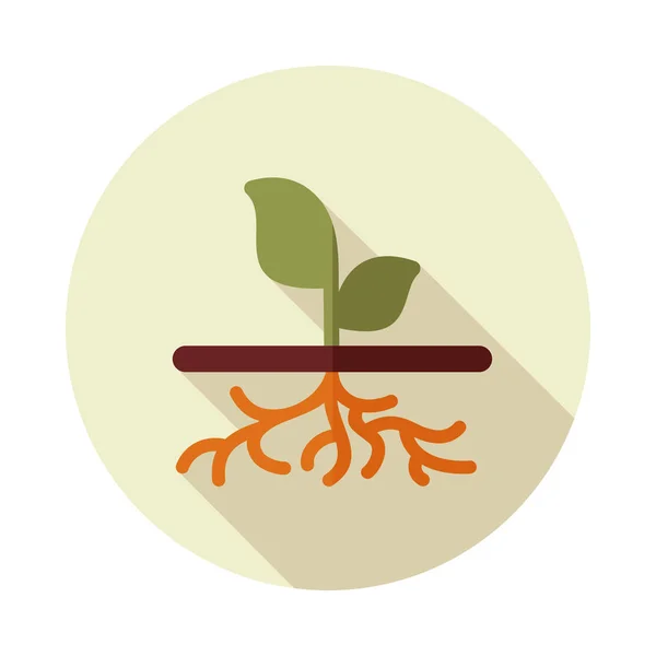 Planta com raízes ícone vetor plana, jardim — Vetor de Stock