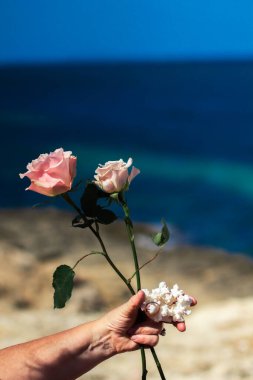 Alyansları ve gülleri olan beyaz mercanları tutan. İspanya 'da bir deniz kıyısında düğün töreni, Mallorca. Evlilik kavramı, karı koca, evlilik, evlilik yeminleri, yaşam tarzı, ilişki, aşk