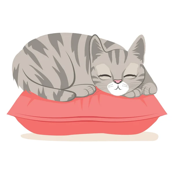 Cat Sleeping On Pillow — Stock Vector