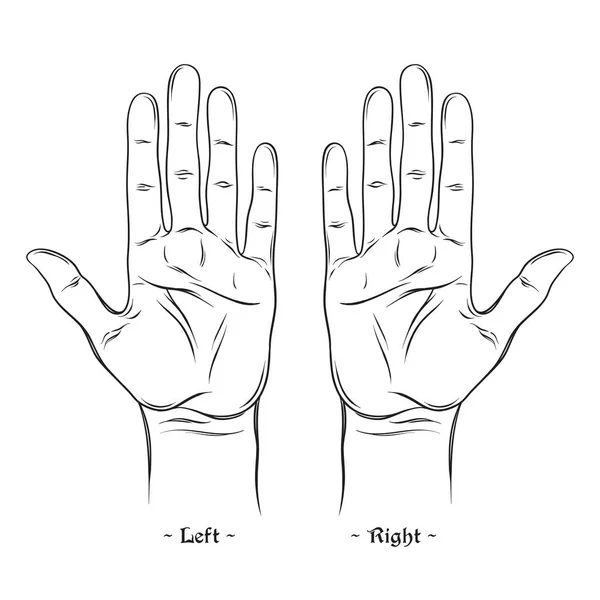 Χειρομαντεία ή χειρομαντεία γράφημα κενό πρότυπο απομονωθεί σε λευκό φόντο. Εικονογράφηση διάνυσμα — Διανυσματικό Αρχείο
