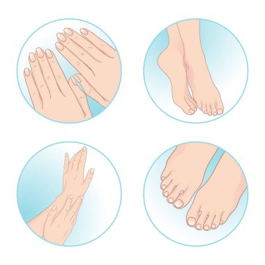 Güzel eller ve ayaklar, Manikür ve pedikür. Vücut Bakımı set tasarımı vektör çizim