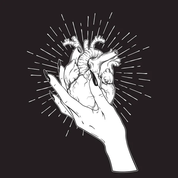 Человеческое сердце в изящной женской руке изолировано. Наклейка, печать или черная татуировка, нарисованная вручную, векторная иллюстрация — стоковый вектор