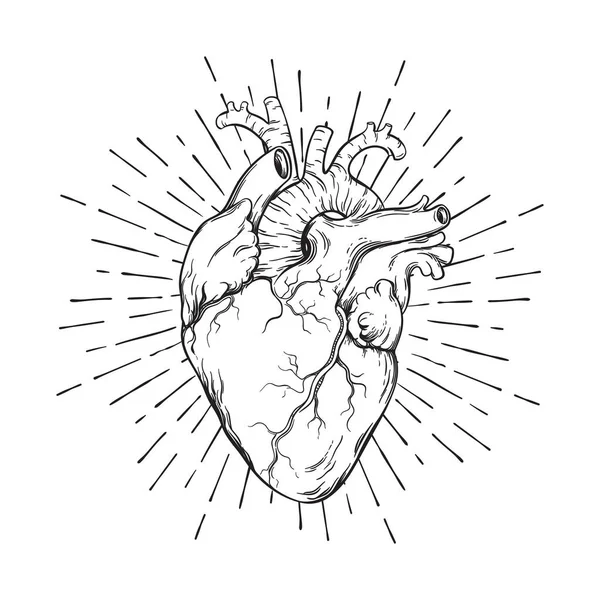 Corazón humano dibujado a mano con el arte anatómicamente correcto del sunburst. Tatuaje flash o diseño de impresión ilustración vectorial — Archivo Imágenes Vectoriales