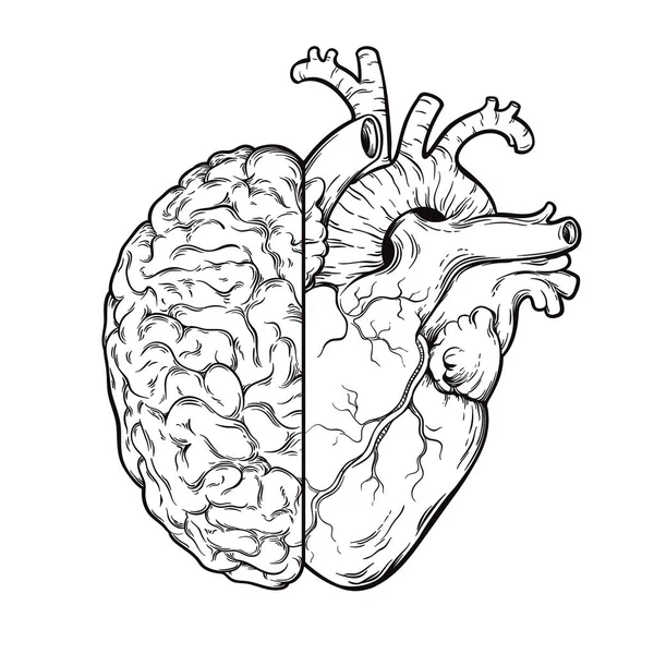 Art de la ligne dessinée à la main moitié du cerveau et du cœur humain - Concept de priorité logique et émotionnelle. Conception d'impression ou de tatouage isolé sur fond blanc illustration vectorielle . — Image vectorielle