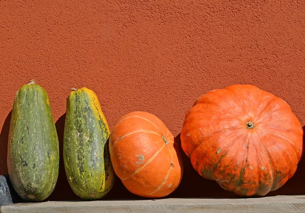 Grandes abóboras laranja e verde contra o fundo de uma parede — Fotografia de Stock