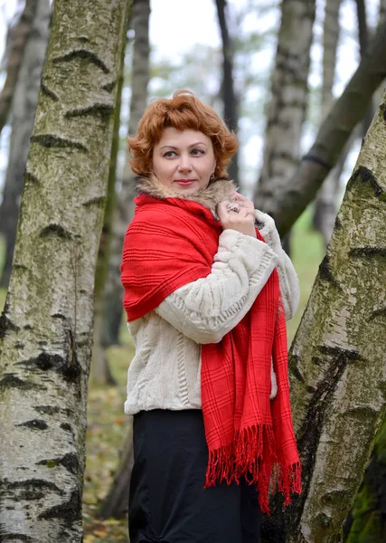 La femme des années moyennes dans un étole rouge coûte parmi les bouleaux dans le bois — Photo