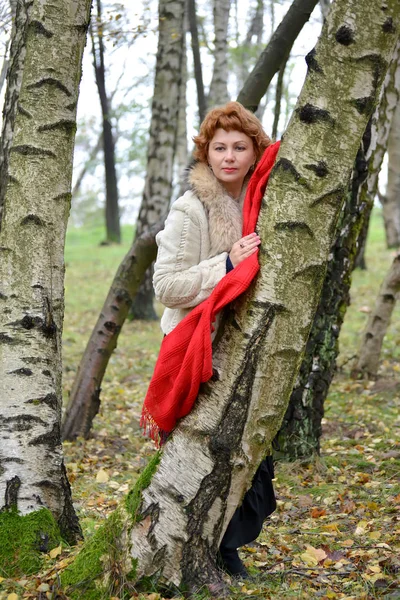 La mujer seria con la bufanda roja cuesta haberse apoyado en el abedul en el bosque —  Fotos de Stock