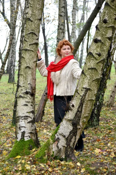 La femme avec une écharpe rouge coûte parmi les bouleaux dans le bois — Photo