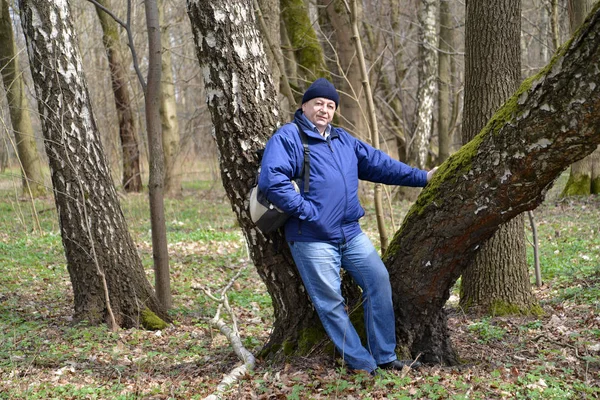 The elderly man costs having leaned against a birch in the spring wood