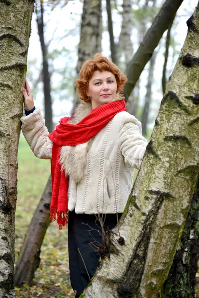 La femme d'années moyennes avec une écharpe rouge coûte parmi les bouleaux dans le bois — Photo