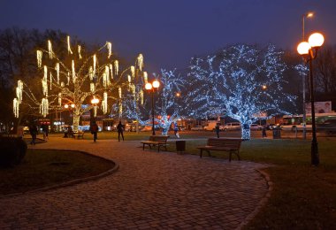 Kaliningrad, Rusya - 17 Aralık 2016: Bir görünümünü karanlıkta parlayan Dekoratif ağaçlar