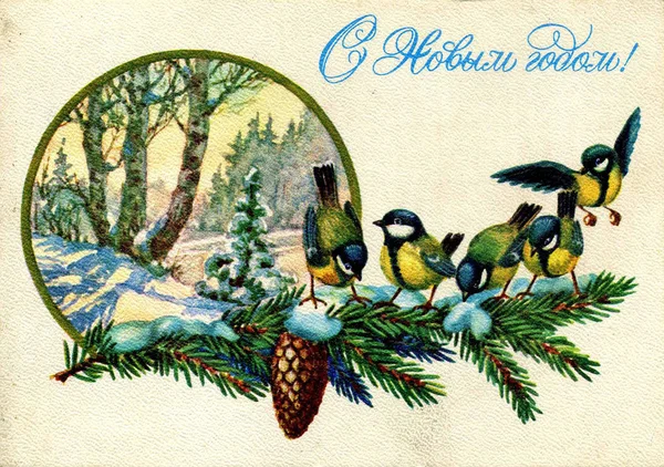 URSS - 1978: La tarjeta impresa en la URSS - titmouses sentarse en una rama de abeto. Artista G. Popov. Texto en ruso: Feliz Año Nuevo ! —  Fotos de Stock