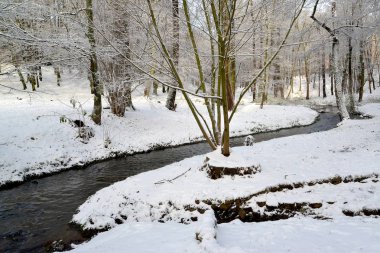 Akış görünümü Central Park 'ta Park, Kaliningrad