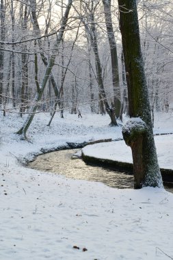 Kış manzara akışı parkta, Kaliningrad
