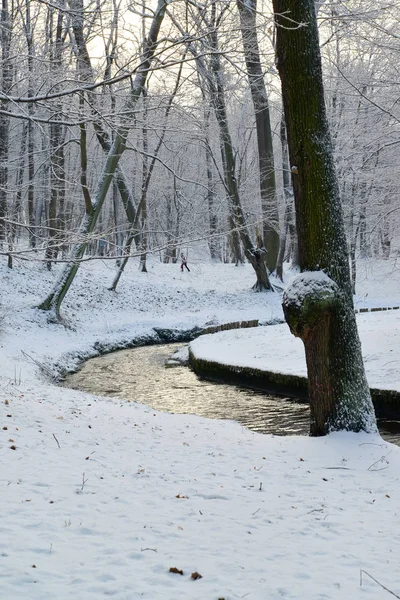 Paisaje invernal con un arroyo en el parque, Kaliningrado — Foto de Stock