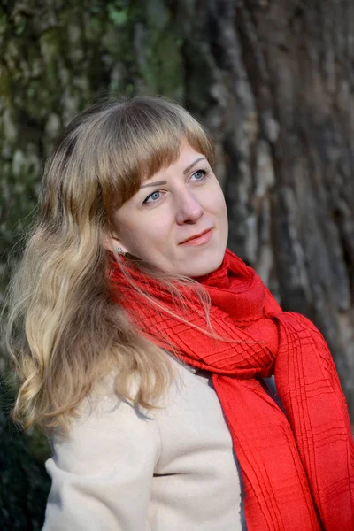 Portrait of the young pensive woman against the background of a tree — Stock Photo, Image