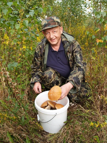 The joyful man puts a mushroom in a bucket — Stock Photo, Image