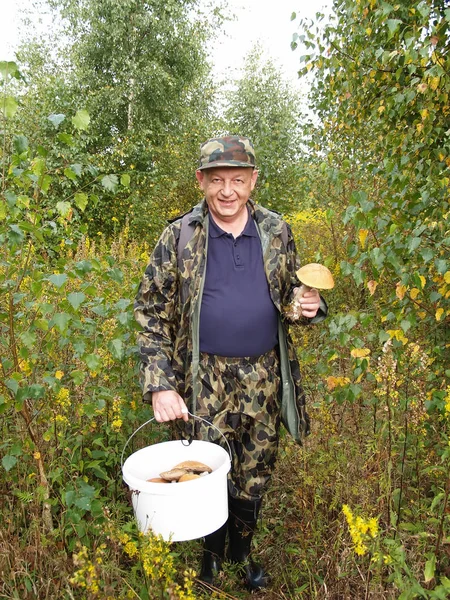 The man holds in hand a bucket with mushrooms in the wood — Stock Photo, Image