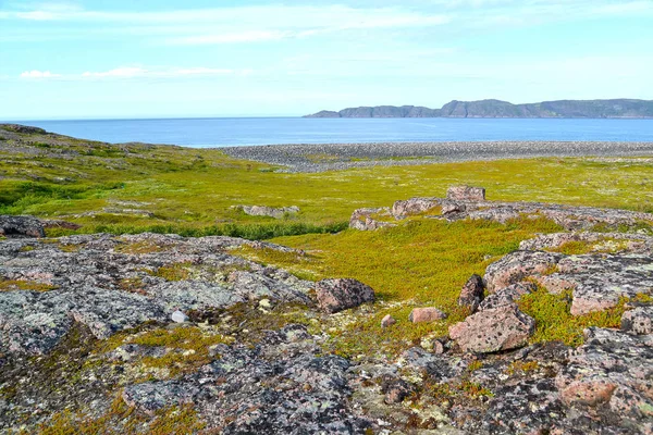 Barents Denizi kıyısında taşlı Etkilenmeler — Stok fotoğraf