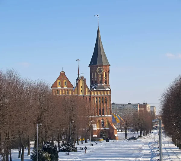 Kaliningrad, Federacja Rosyjska. Katedra w zimie — Zdjęcie stockowe