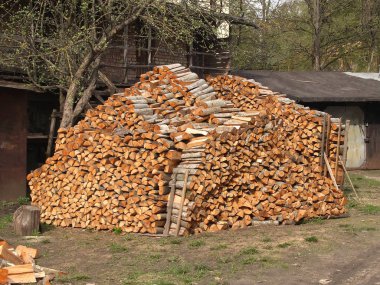 Kızılağaç yakacak odun woodpile