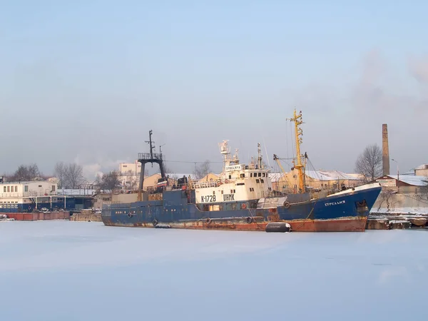 Kaliningrad, Rusko - 16. února 2012: Rybolov a vyhledávání plavidlo "Strelnya" v zimě v obchodní přístav. Ruský text Strelnya — Stock fotografie