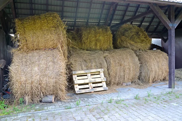 Rulo saman bir mow üzerinde bir gölgelik altında yalan — Stok fotoğraf