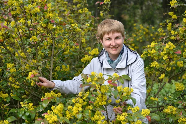 Die reife Frau kostet zwischen den blühenden Büschen einer nachfolgenden Mahonie — Stockfoto