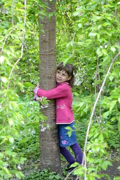 Το μικρό κορίτσι αγκαλιάζει έναν κορμό ενός δέντρου κερασιών — Φωτογραφία Αρχείου