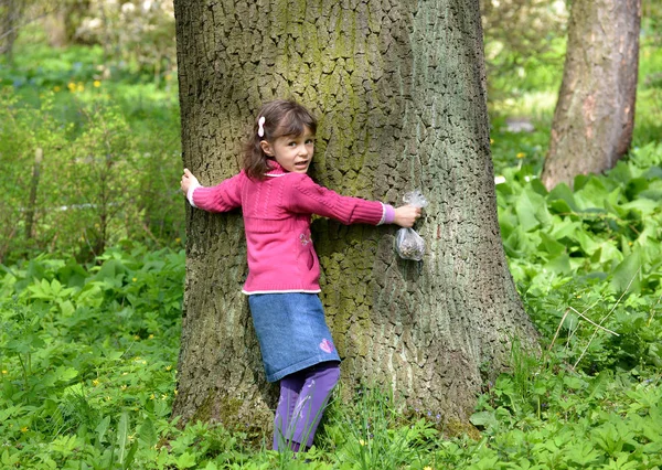 The little girl embraces a trunk of a big tree — Stock Photo, Image