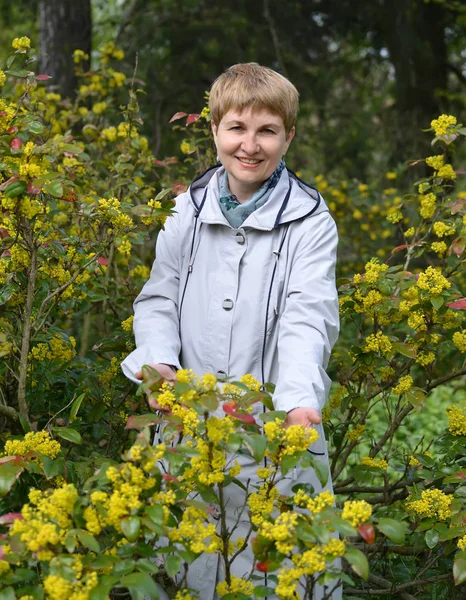 The woman of average years costs among the blossoming bushes of a  trailing mahonia — Stock Photo, Image