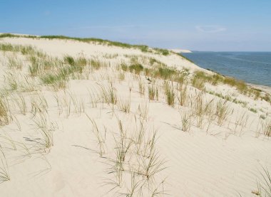Sandy dunes Curonian Spit