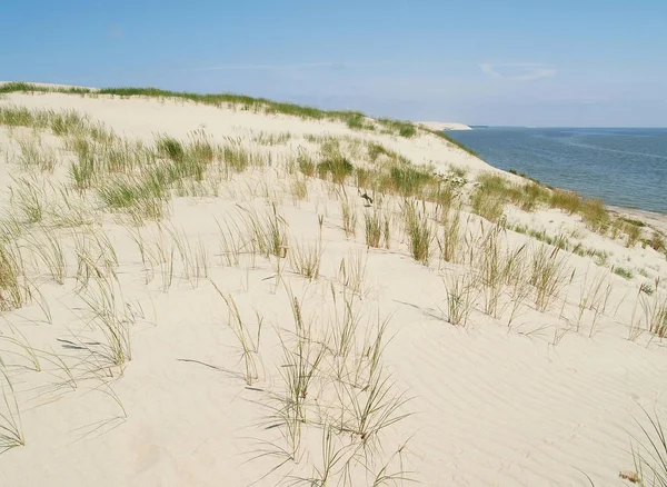 Sandy dunes of Curonian Spit — Stock Photo, Image