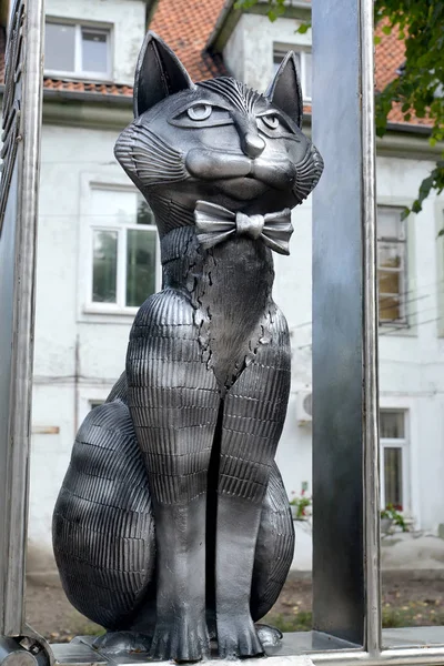 ZELENOGRADSK, RUSIA - 21 de agosto de 2016: Monumento a los gatos de Zelenograd, de cerca —  Fotos de Stock