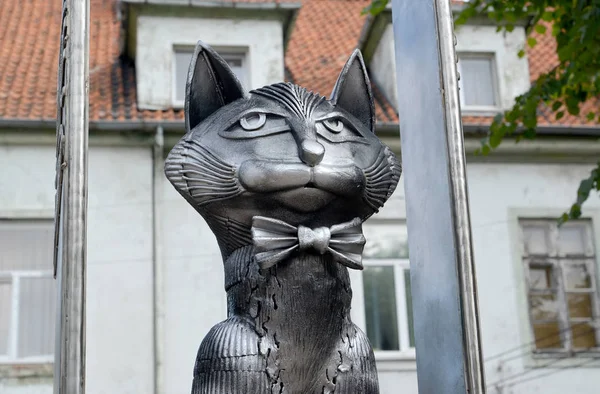 Zelenogradsk, Oroszország - 2014. augusztus 10.: Emlékműve Zelenograd macskák töredék — Stock Fotó