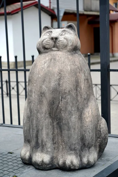 ЗЕЛЕНОГРАДСК, РОССИЯ - 21 августа 2016 года: Скульптура кота, закрывается — стоковое фото